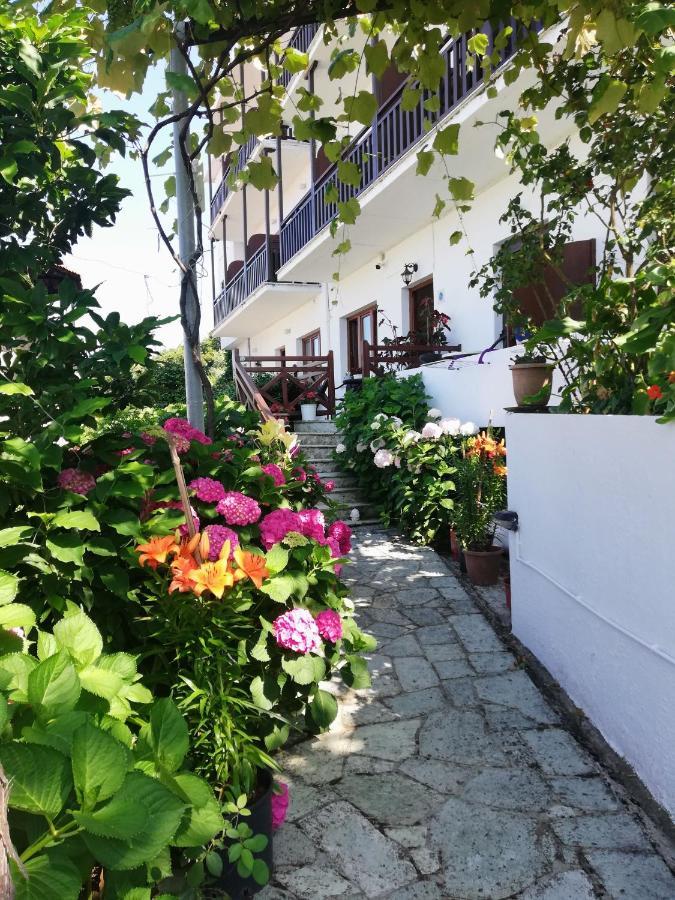 Hotel Erato 코레프토 외부 사진