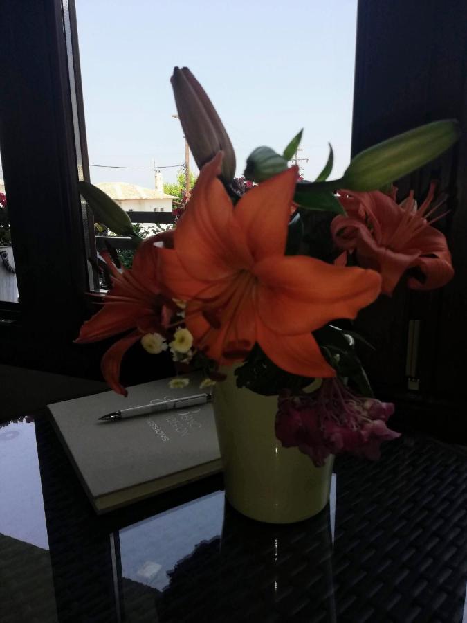 Hotel Erato 코레프토 외부 사진